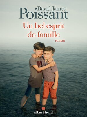 cover image of Un bel esprit de famille